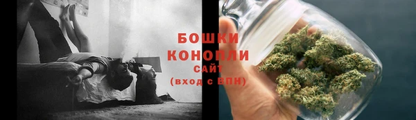 PSILOCYBIN Мегион